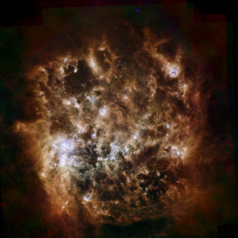 A Harvard 'computer' cracked the mystery of stellar distances. It took the field 20 years to understand what she'd done.