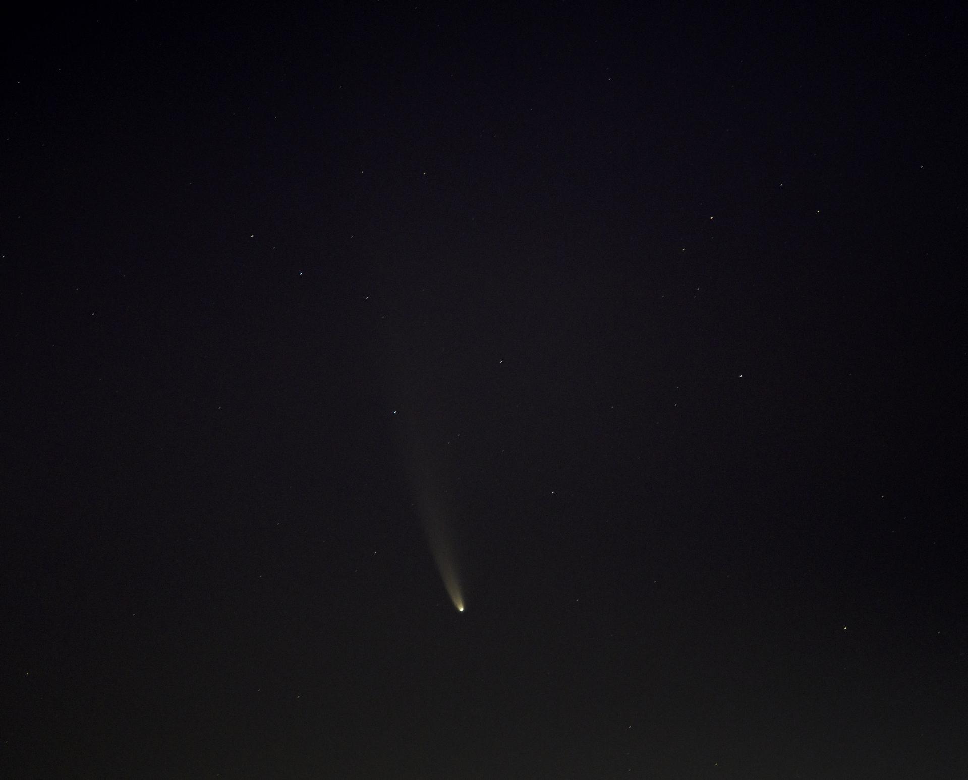 Comet 10P/Tempel 2 Hits Peak Brightness at Closest Earth Approach — Its Best Return of the Century