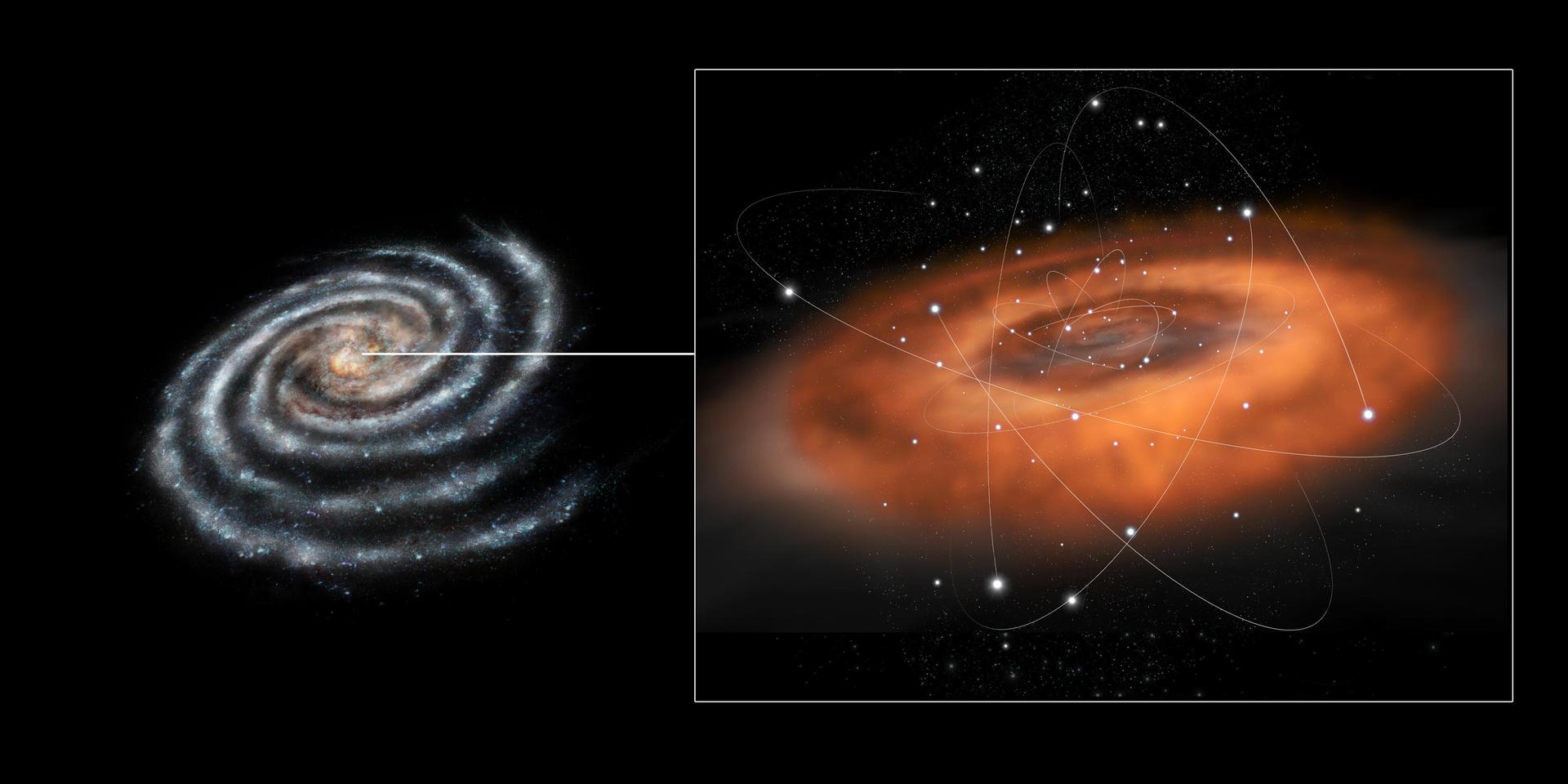 Euclid's 60-Million-Star Portrait of the Galactic Bulge Lays Groundwork for Roman
