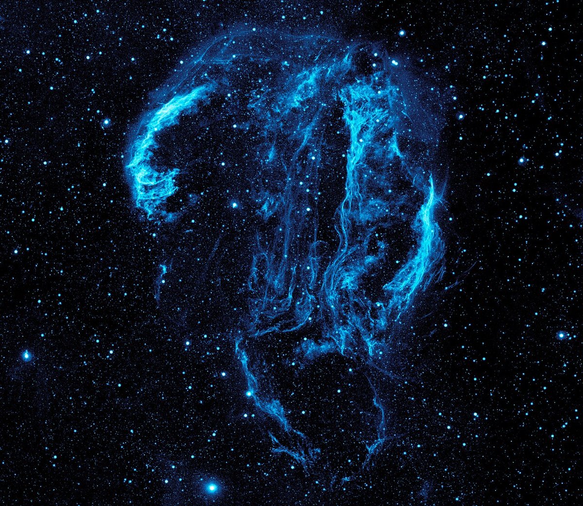 The Jellyfish Has a Sibling: Fermi Telescope Uncovers Evidence of a Rare Double Supernova