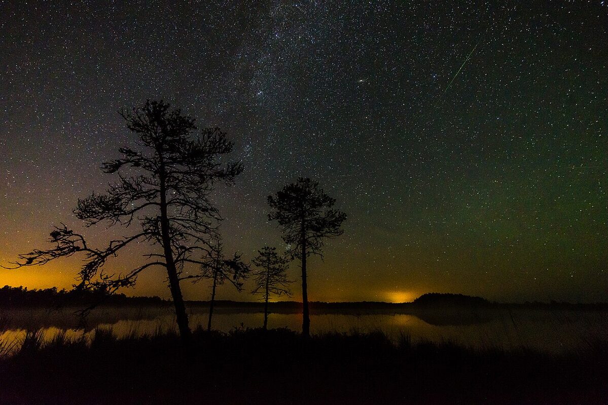 In the photo there is one Perseid, Milky Way and Andromega galaxy and light pollution on the horizon - Luhasoo bog in Estonia