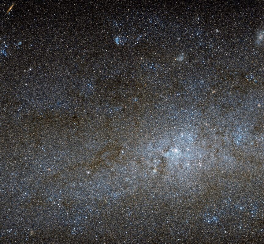 A Galaxy's Beating Heart: Simulation Shows Its Central Star Cluster and Stellar Disk Grow Up Together