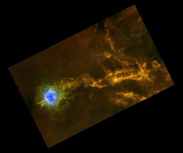 Inside a Stellar Nursery: How the Orion Molecular Cloud Builds Stars