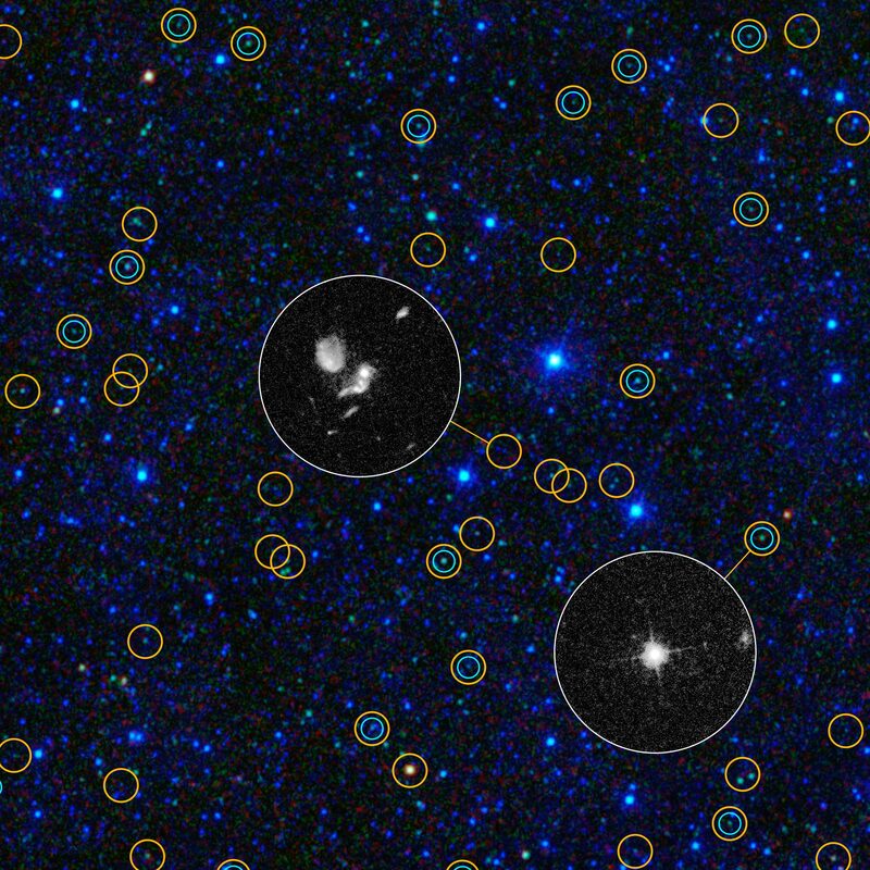 100,000 Quasars Offer a Statistical Hint That Merged Black Holes Get Kicked