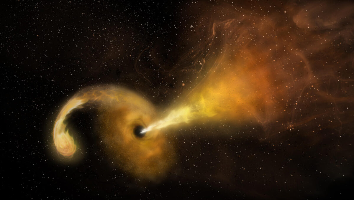 Why Black Holes Keep Shredding the Same Stars — and Why the Flares Keep Fading