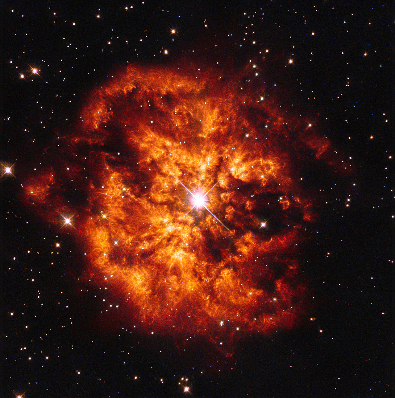 A Star Reborn: Sakurai's Object Shows a Wolf-Rayet-Type Spectrum and Reheats More Slowly Than Models Predicted
