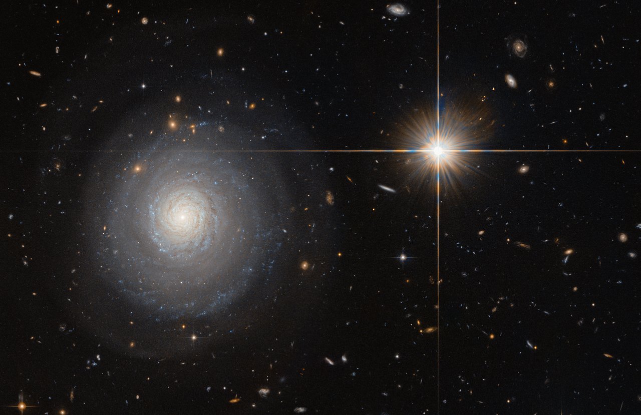 A Ghostly Neutrino Leads Astronomers to 'Shadow Blaster,' a Starburst Galaxy 11 Billion Light-Years Away