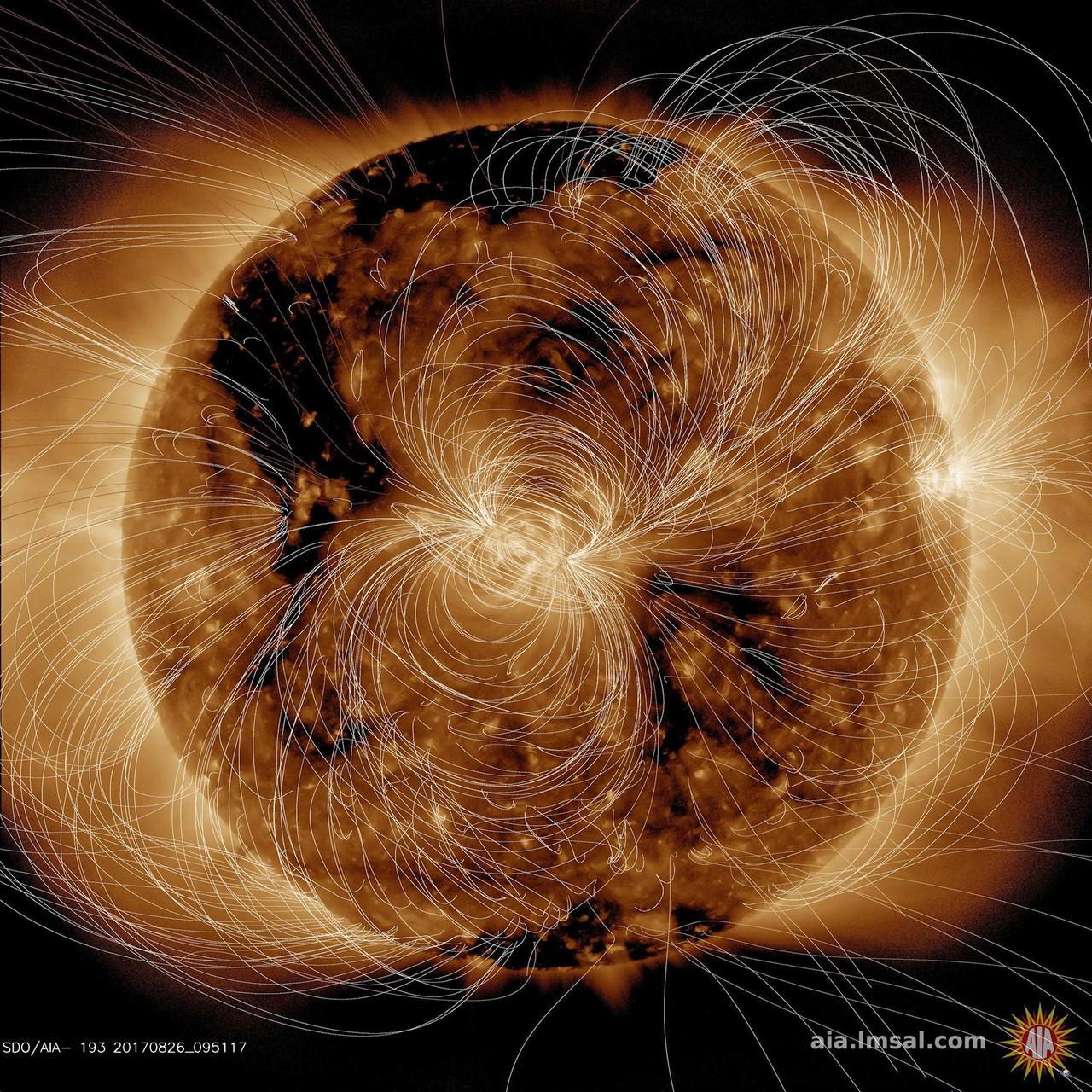 Solar Orbiter Traces a Magnetic Switchback to the Sun's Surface and Reconciles Two Theories