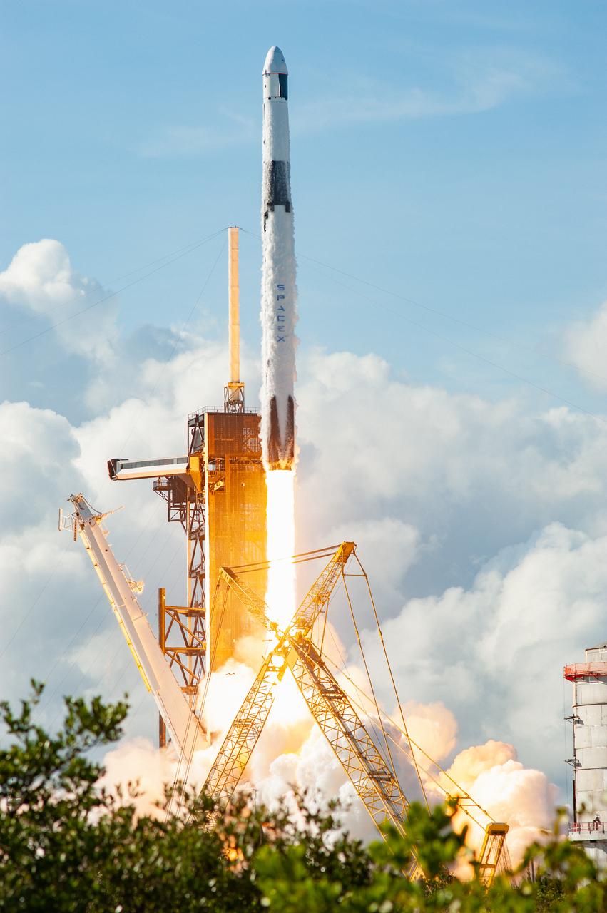 SpaceX Dragon Returns From ISS With Bioprinted Tissues and Cancer Research Data