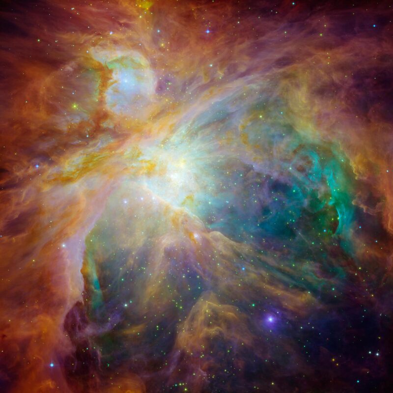 A Stellar Merger May Explain Why Orion's Planet-Forming Disks Look Younger Than Their Stars