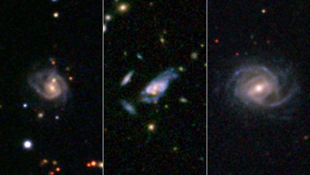 Gargantuan Super Spiral Galaxies Loom Large in the Cosmos