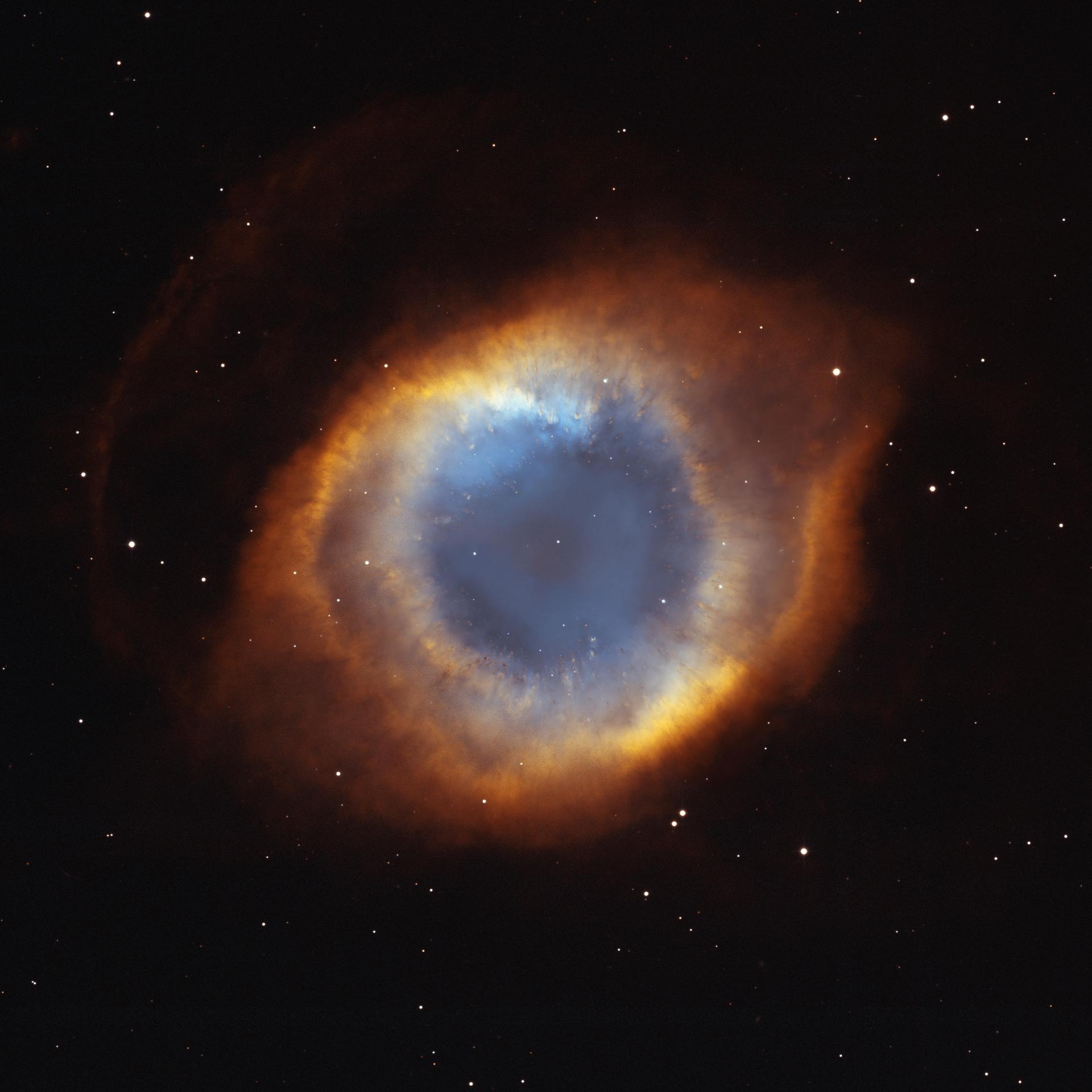 Green, Pink and Purple: The Surprising True Colours of White Dwarfs